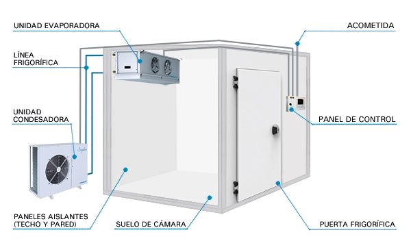 ¿Cuántos tipos de cámaras frigoríficas hay.