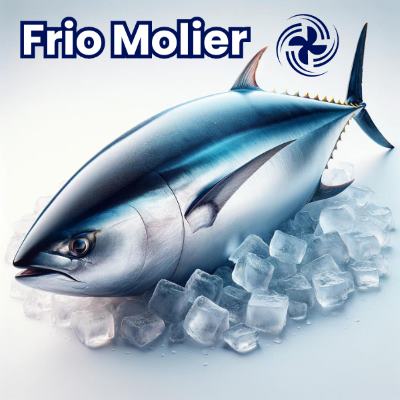 Reparación de Refrigeración Industrial en Calpe